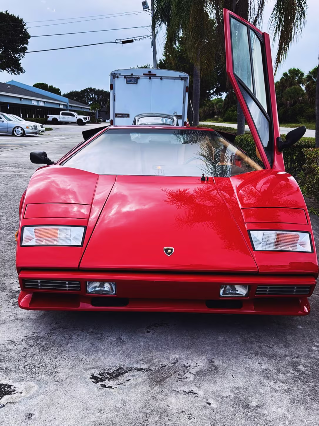 Lamborghini Countach — Paint Correction & Ceramic Coating